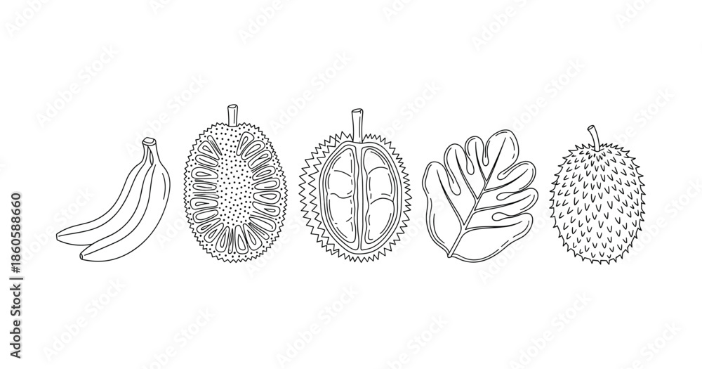 Obraz premium Line art of exotic fruits: banana, jackfruit, durian, monstera leaf, spiky fruit