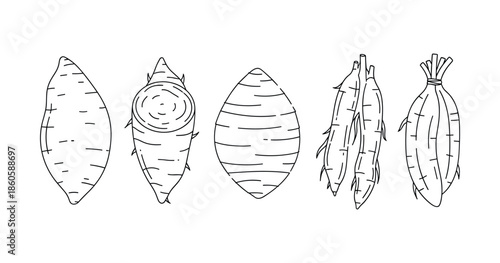 Black and white line art of sweet potatoes and yams