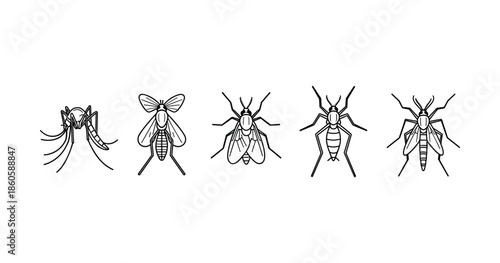 Black and white line art of various insects in a row on white background