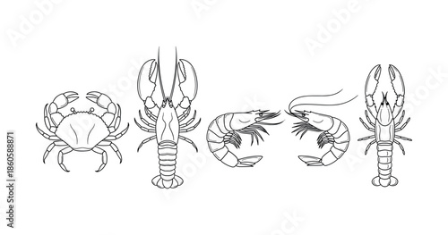Line art: crustacean collection with crabs, lobsters, and shrimps