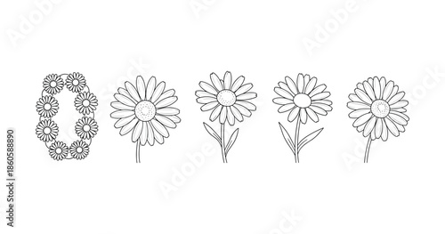 Black and white daisy illustrations and wreath collection