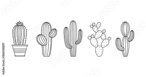 Black and white cactus line art collection of potted and desert cacti illustrations