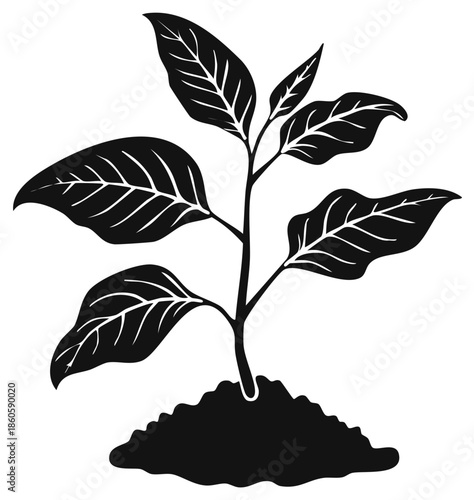 Simple black and white vector of a young plant sprouting from soil