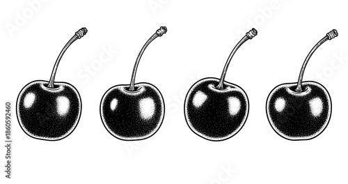 Black and white illustration of four cherries with stems in a row