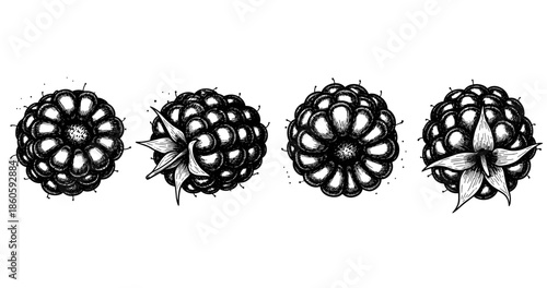 Intricate black and white illustration of raspberries with detailed textures