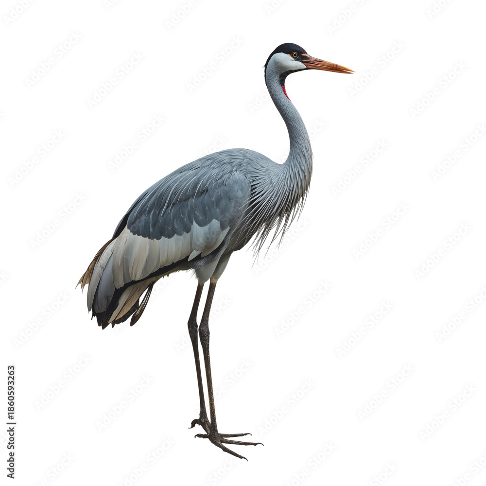 Naklejka premium Large Crane Stands Tall on a White Background During a Sunny Day