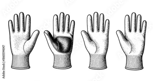 Detailed black and white sketch of four glove variations on display