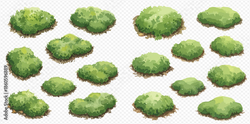 Set of green bushes and shrubs for garden or park landscaping design elements.