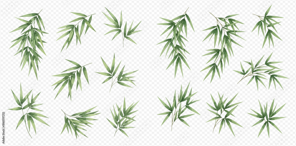 Fototapeta premium Set of isolated green bamboo leaves and branches on transparent background.