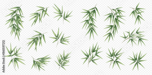 Set of isolated green bamboo leaves and branches on transparent background.