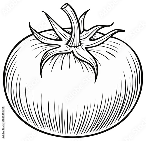 Black and white line art illustration of a ripe tomato with green stem and leaves