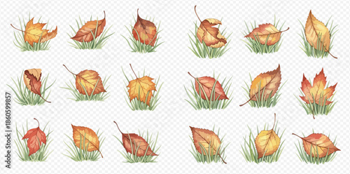 Set of watercolor autumn leaves in green grass, fall season elements, isolated on transparent background.