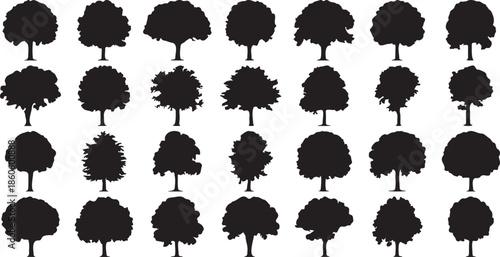 mixed tree silhouettes vector set collection, black forest tree silhouette set isolated, nature tree silhouettes vector collection on png background