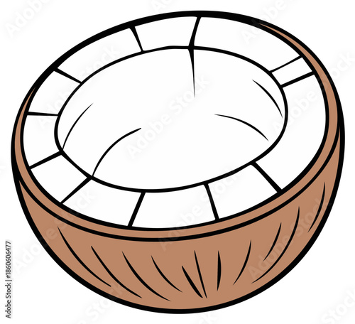Halved coconut brown outer shell white inner pulp tasty tropical fruit