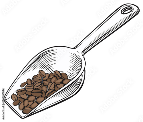 Coffee beans in a scoop illustration