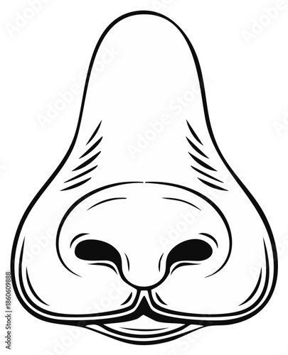 Cartoon nose illustration, close-up view of the central human face feature, line art