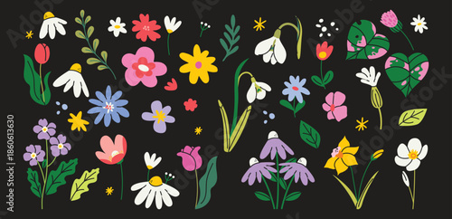 Set of hand drawn botanical elements with cute spring flowers and leaves. Floral plant branches, stems with blooming blossoms and leaf. Wild flowers stickers in cartoon doodle style. Flat vector