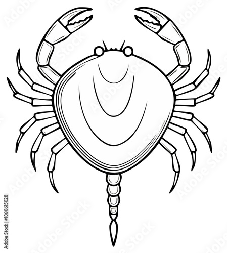 Line art illustration of a crab with open claws, detailed