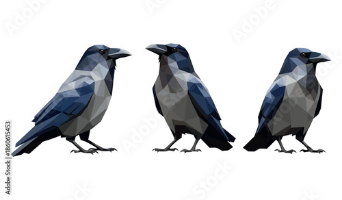 Three geometric crows in low poly style on white background