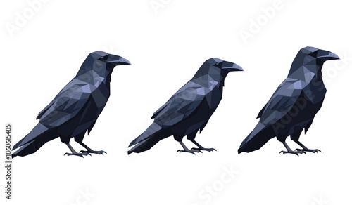 Three geometric ravens in low poly art on white background