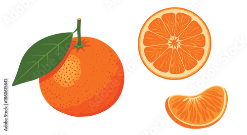 Fresh tangerine illustration set featuring a whole orange fruit with a green leaf, a cross section half, and a single segment slice.