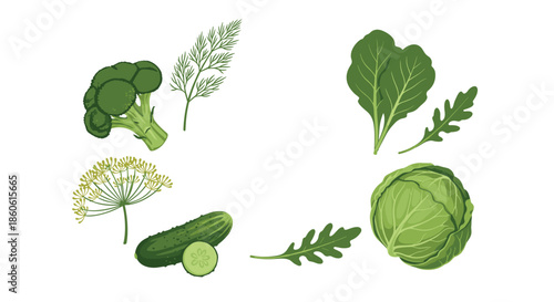 Assorted green vegetables and fresh herbs including broccoli, cucumber, cabbage, dill, and various leafy greens for healthy eating.