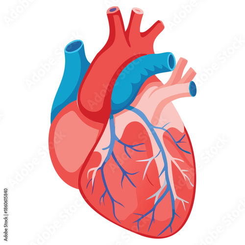 Generative Design Human Anatomical Heart Medical Healthcare Graphic