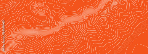 Sushi tuna pattern with salmon meat texture for fish abstract wood. Lines package bg with color seamless art for skin background label. Orange outline sushi with polish salmon fillet.