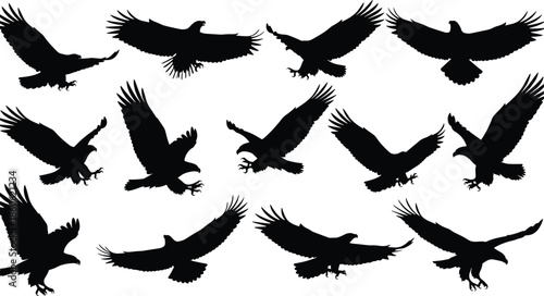 Flying eagle silhouette collection, powerful bird of prey poses set, black wildlife vector illustrations isolated on white background