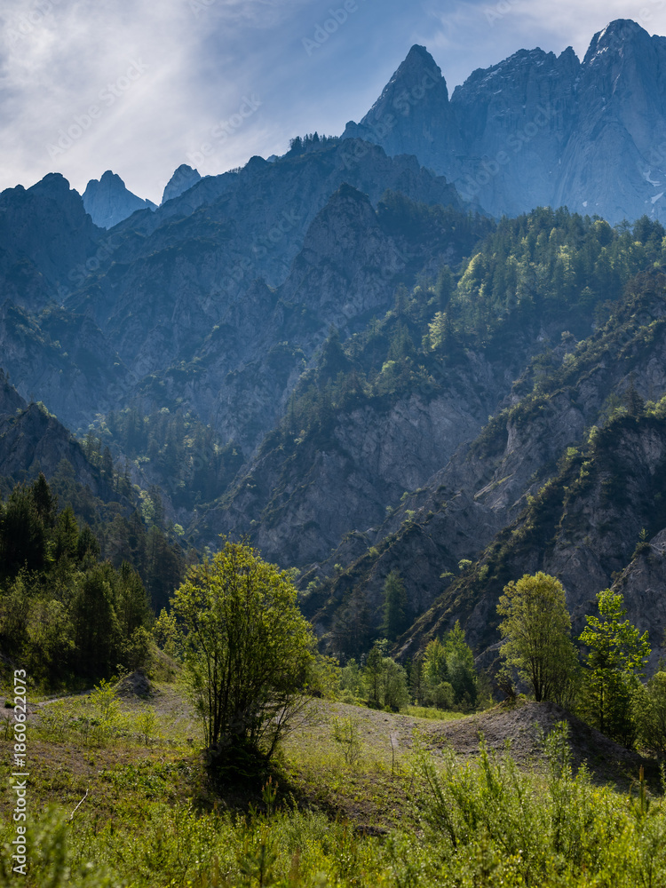 Fototapeta premium Sharp alpine rock walls in Gesaeuse National Park Austria summer daylight