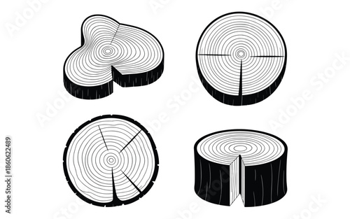 Natural wood cross section set with detailed tree rings and bark textures for rustic designs.