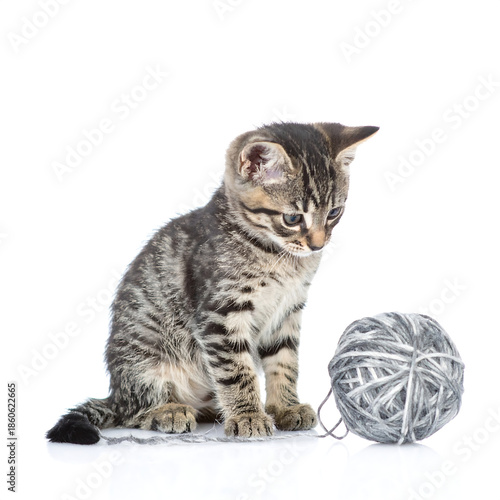 Curious Tabby Kitten with Grey Yarn Ball Isolated on White