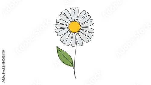 Wallpaper Mural Minimalist Continuous Line Art Drawing of a White Daisy Flower with One Green Leaf Torontodigital.ca