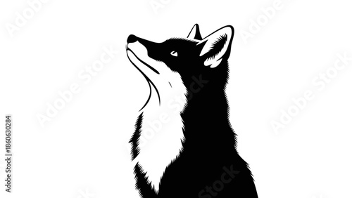 Black and white dog head portrait.