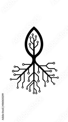 Black and white leaf root system.