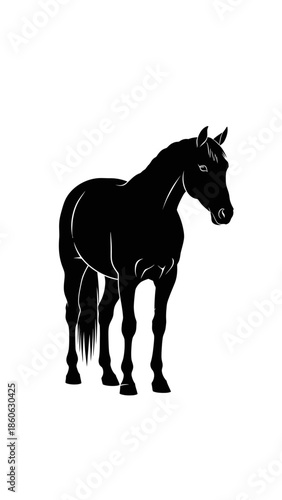 Black Horse Standing Alone Silhouette.