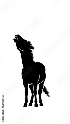 Black silhouette of a donkey braying.