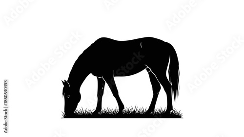 Black silhouette of a horse grazing.