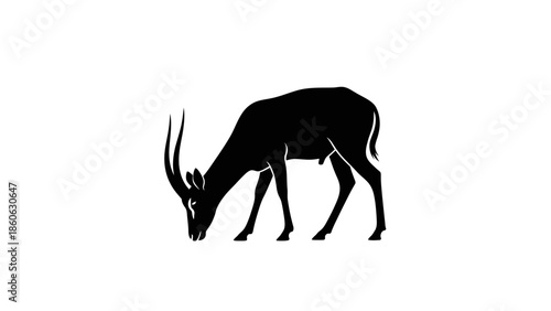 Black silhouette of an antelope grazing.