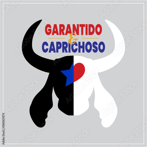 Brazilian Amazon Folk Festival | Banner do folclore amazônico – Caprichoso e Garantido