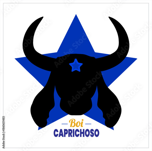 Caprichoso and Garantido Cultural Design | Banner cultural do Boi Caprichoso e Garantido
