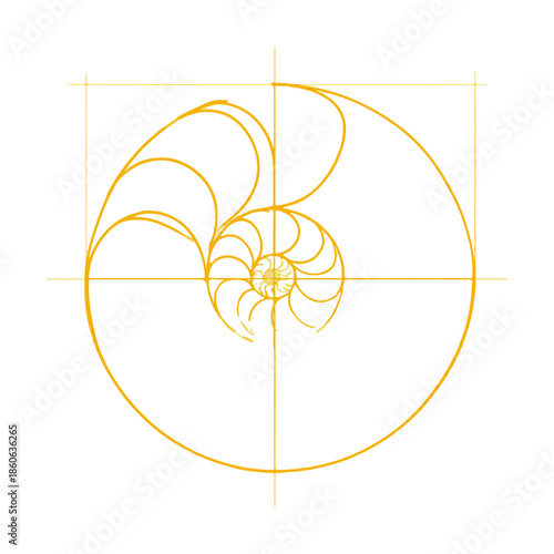 Golden Ratio Spiral Design on White Background, Mathematics Concept
