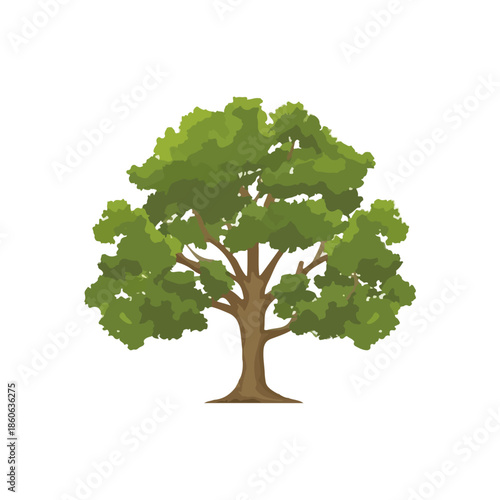Isolated Green Tree Illustration on White Background, Simple Design