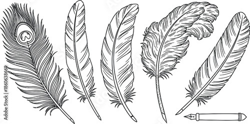 Line art vector set of 5 Feather types peacock feather eagle quill ostrich plume and writing quill pen