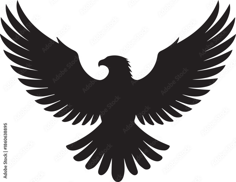 Obraz premium Eagle Front View Wings Spread Vector Silhouette