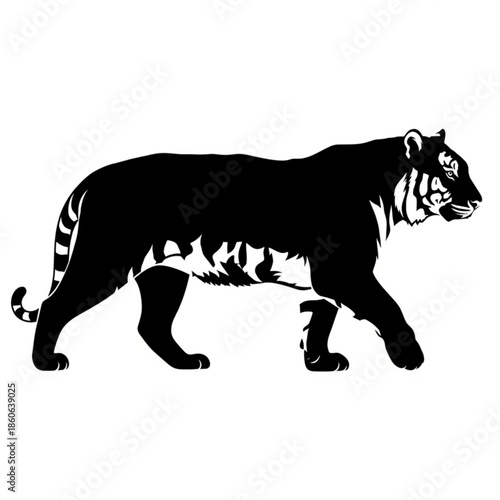 Black silhouette of a tiger walking side view