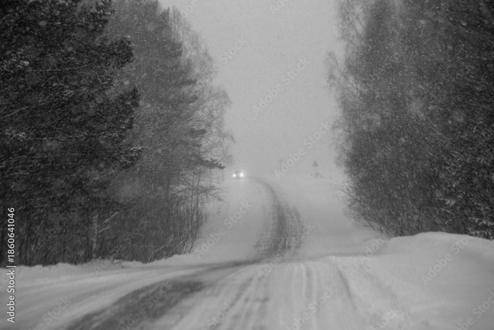 Obraz premium A winter snow-covered road through a coniferous forest during a blizzard.