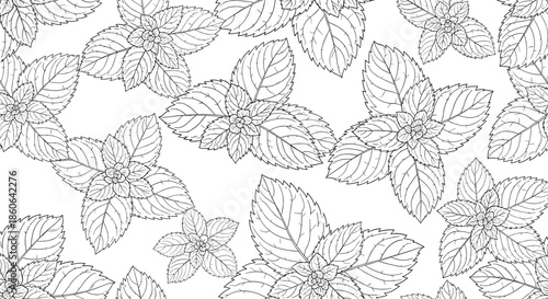 Monochrome seamless pattern background featuring intricate black and white line drawings of fresh mint leaves and botanical sprigs.