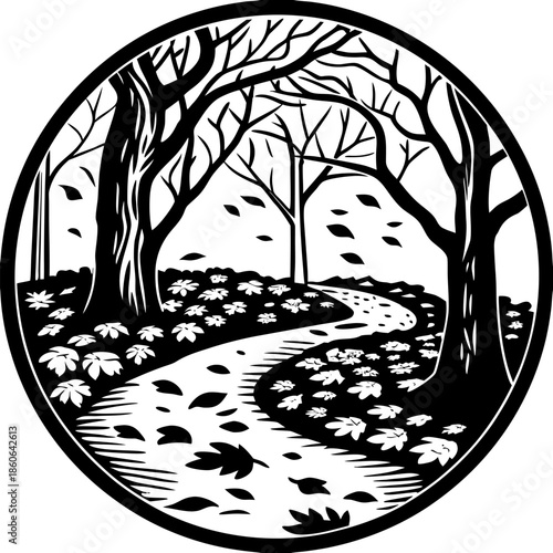 Vibrant Autumn Hike Through Golden Forest