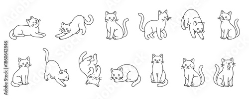 Cute outline cat in various poses. Minimal line art illustration of playful feline pets